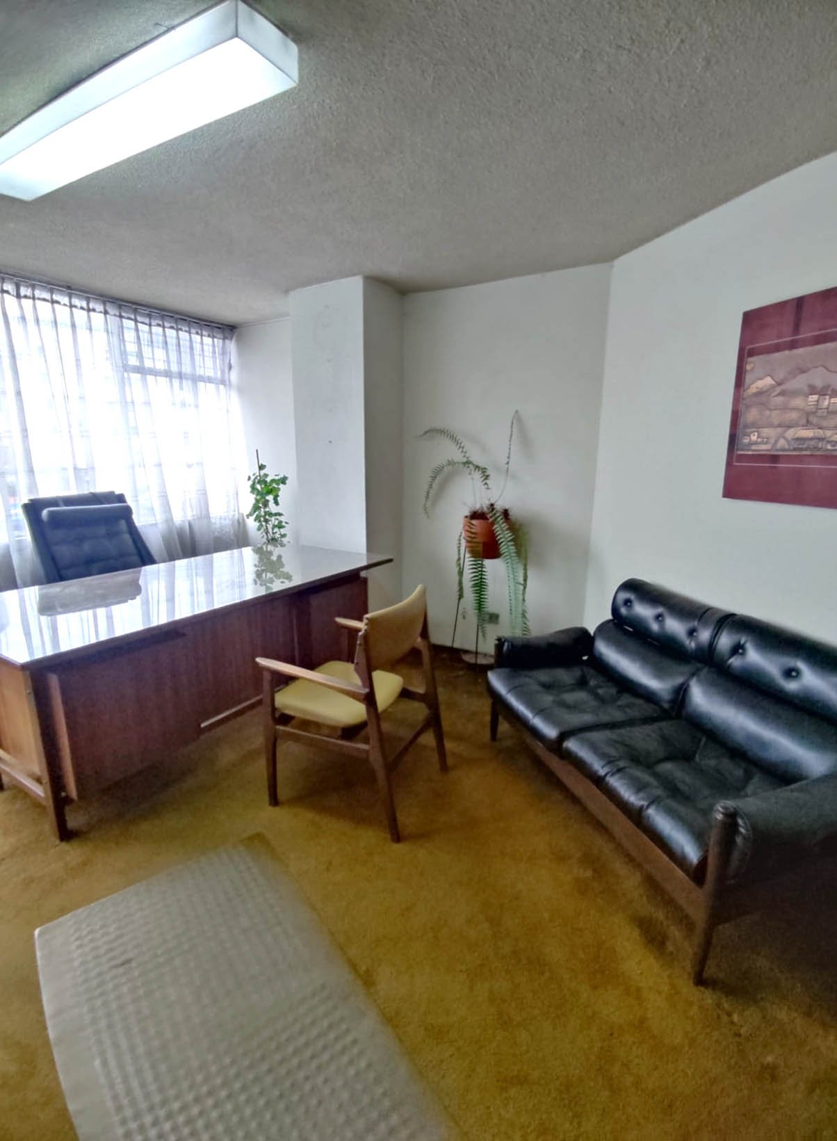 U. Central_escritorio + sala