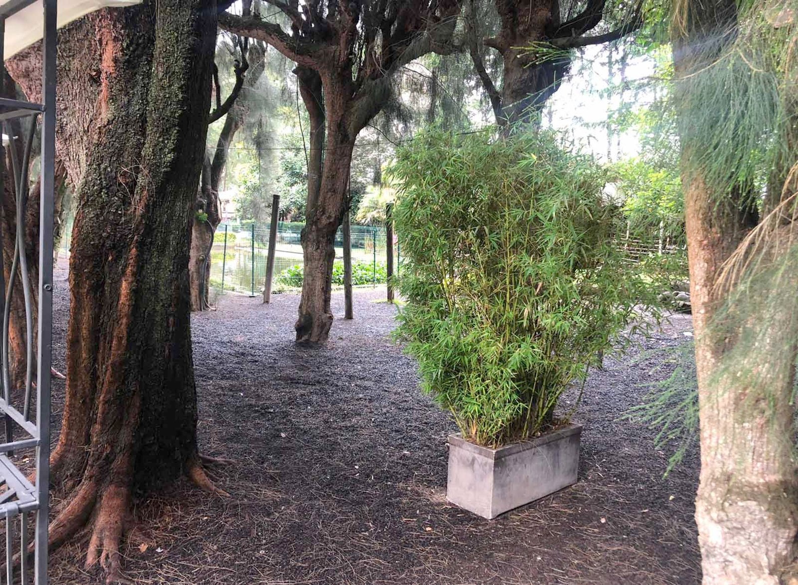 casatumbaco_jardín 3