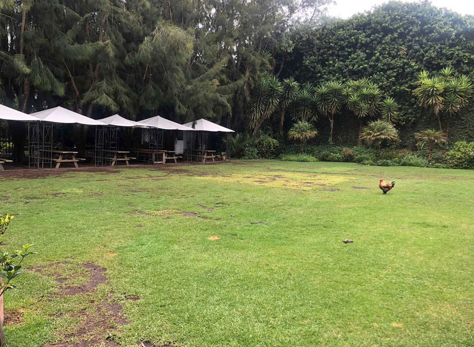 casatumbaco_jardín 5