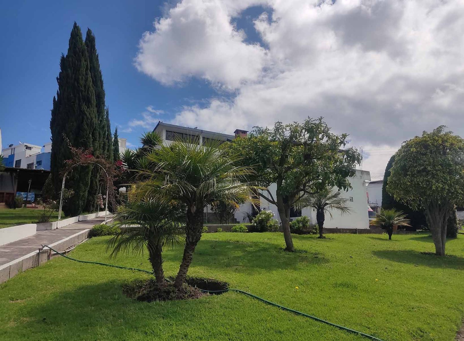 terrenocalderon_casa 5