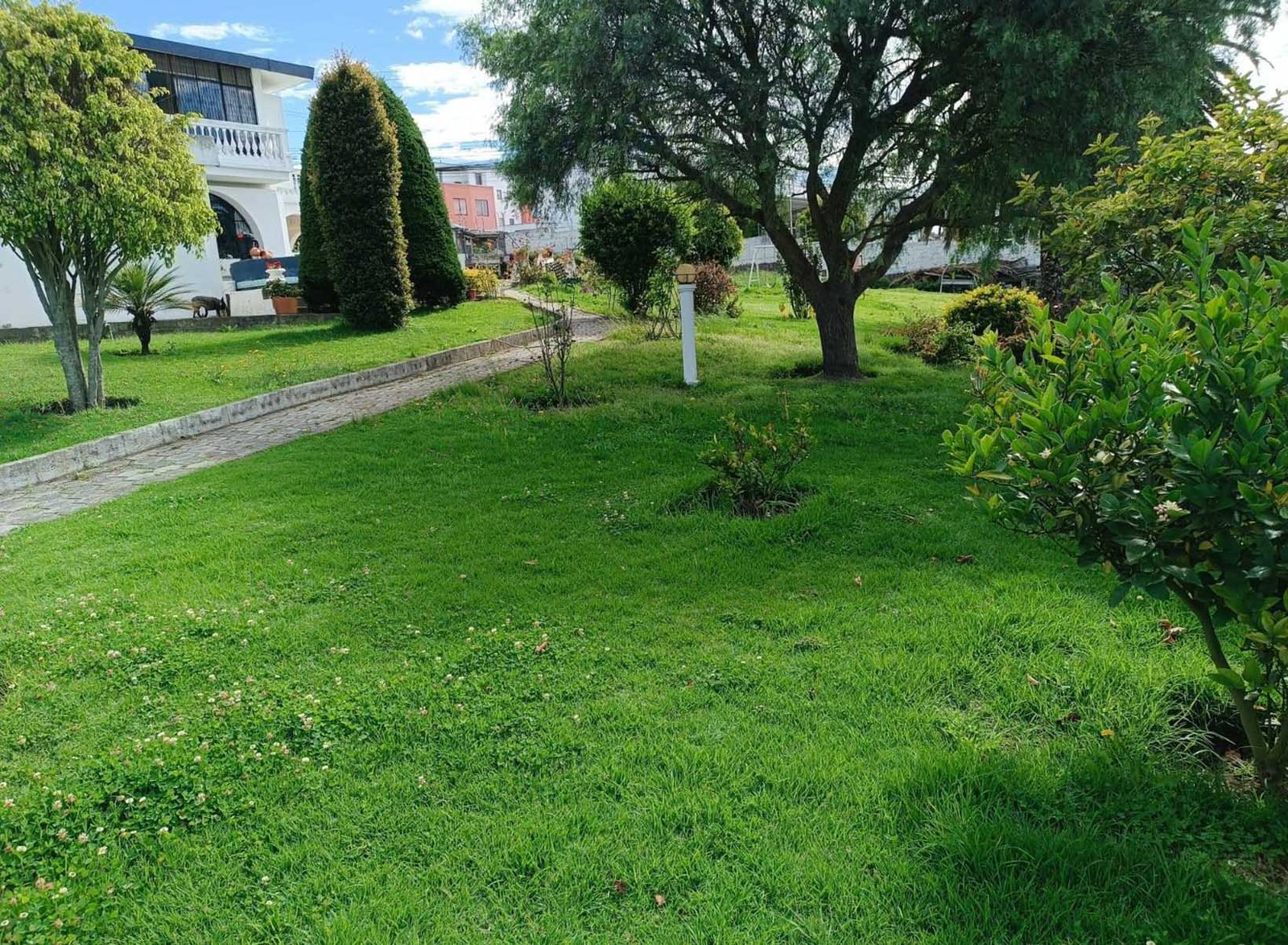 terrenocalderon_jardín 5