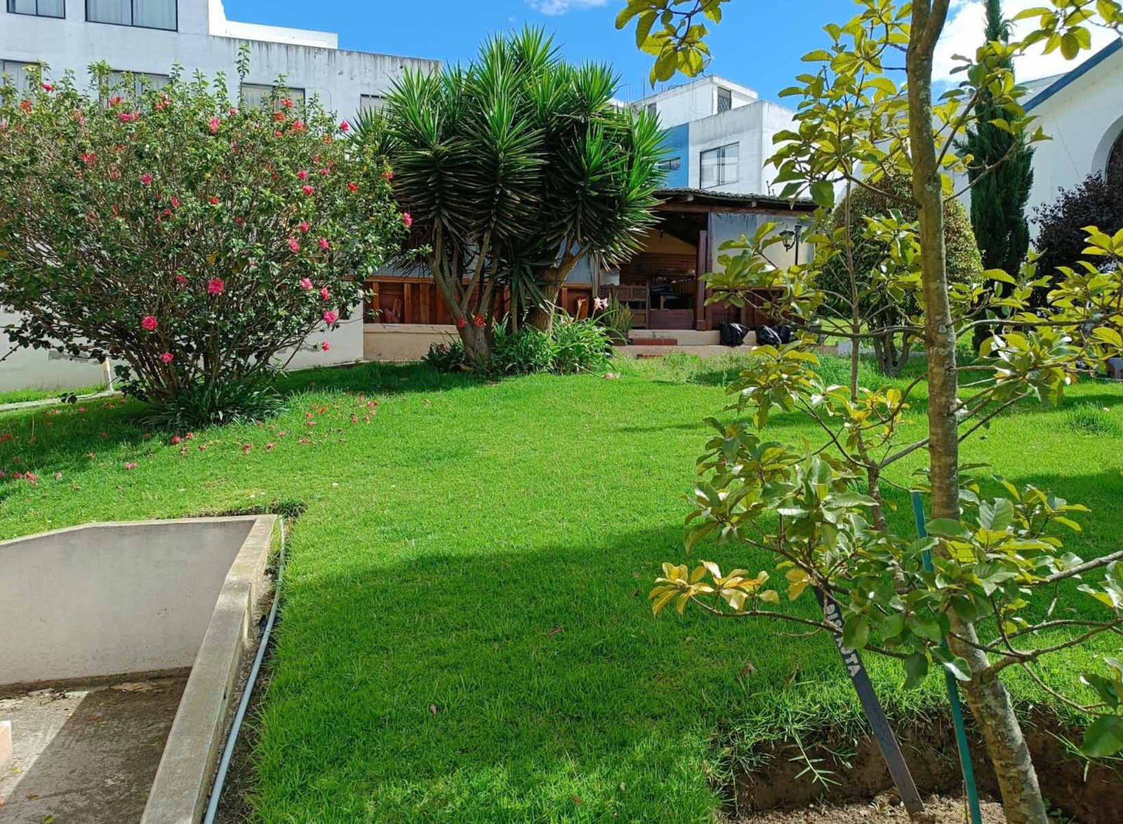 terrenocalderon_patio 2