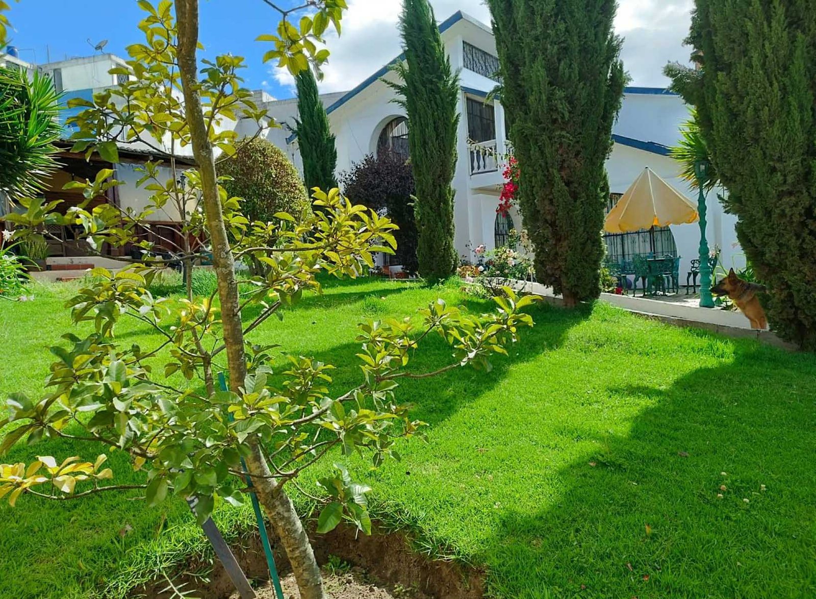 terrenocalderon_patio